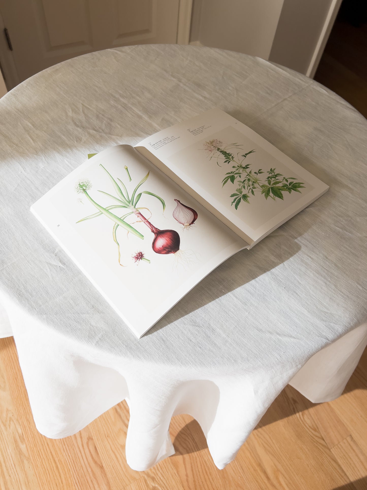Cinnamon color high quality pure european linen sustainable tablecloth